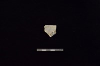 陶片藏品圖，第2張